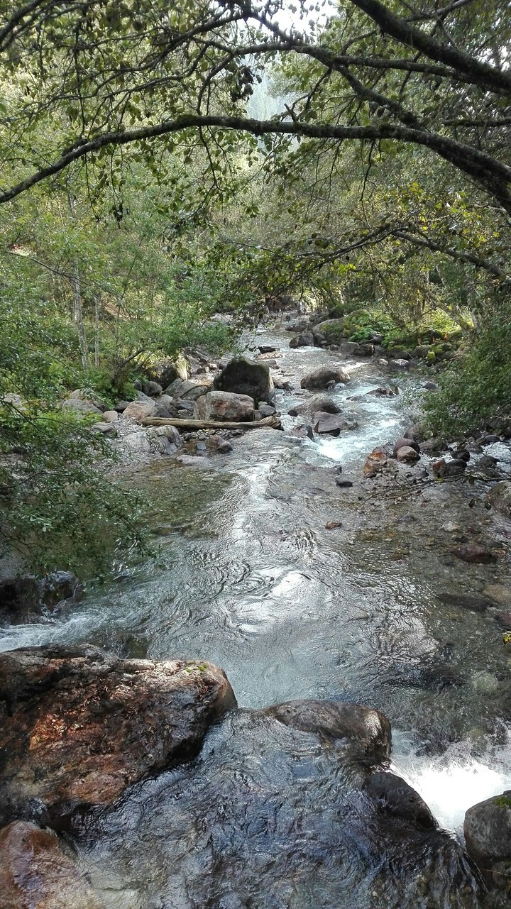 Lagorai water