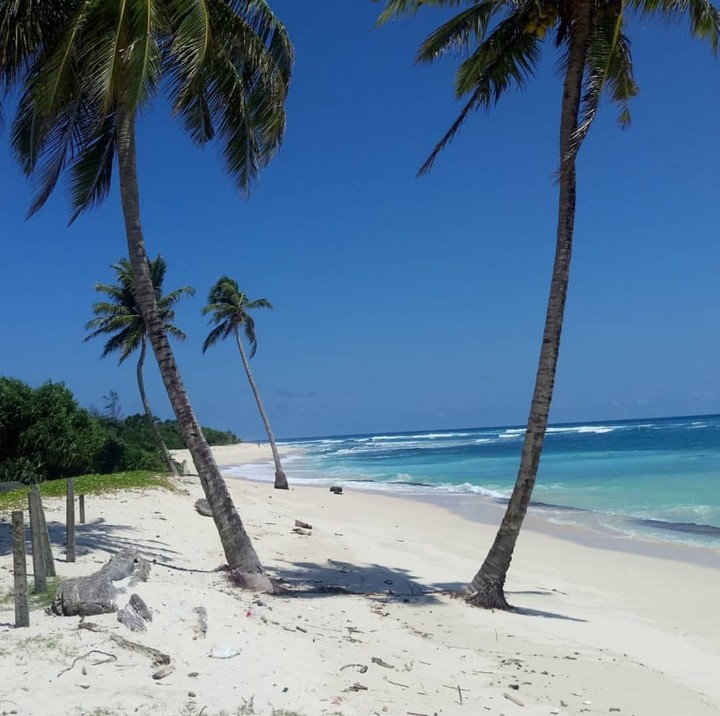 Campbell Bay Island, India