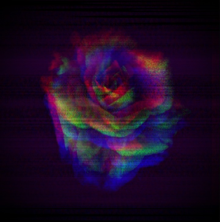 Glitchy Rose