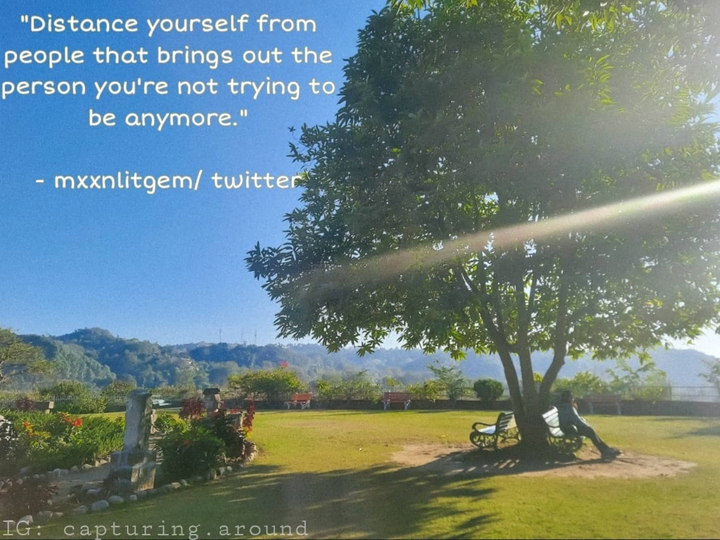 Quote
