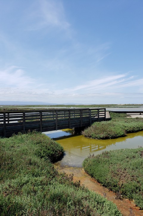 Colorful river and bridge with blue sky