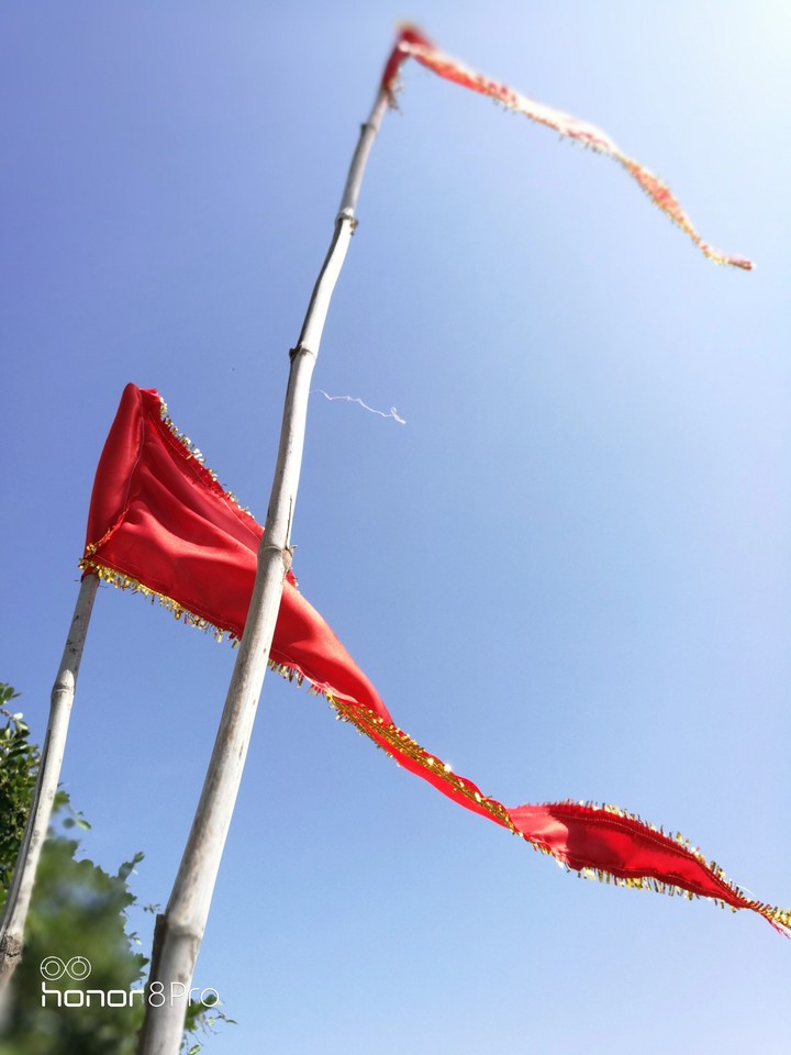 flags
