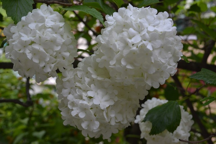 산이미지