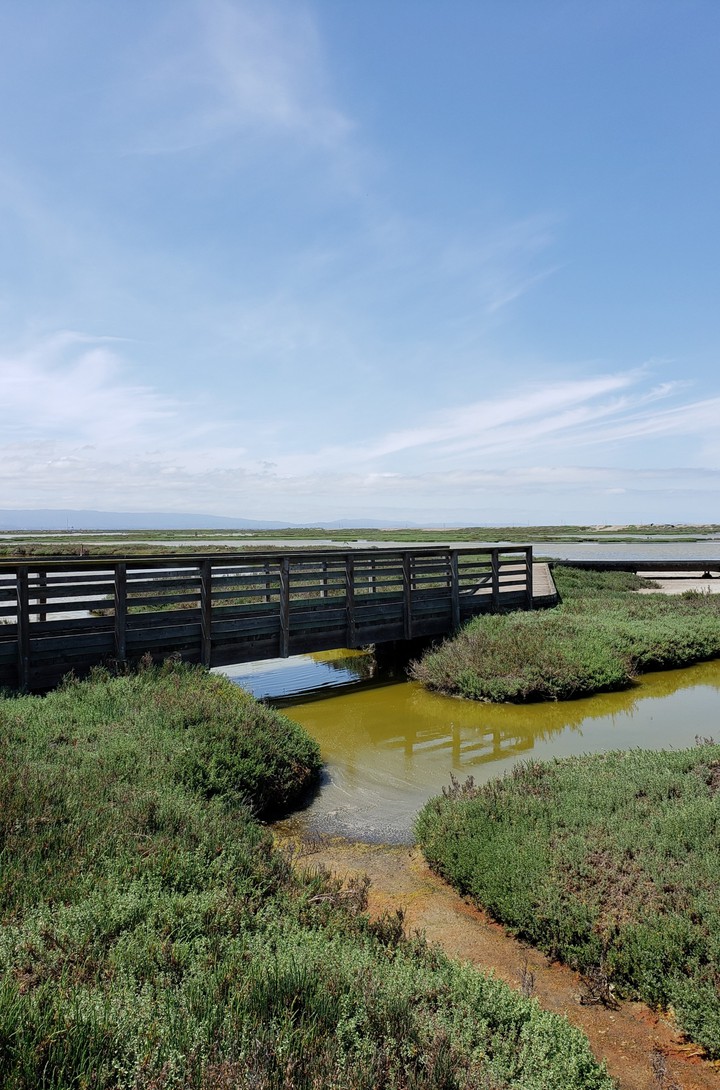 Colorful river and bridge with blue sky