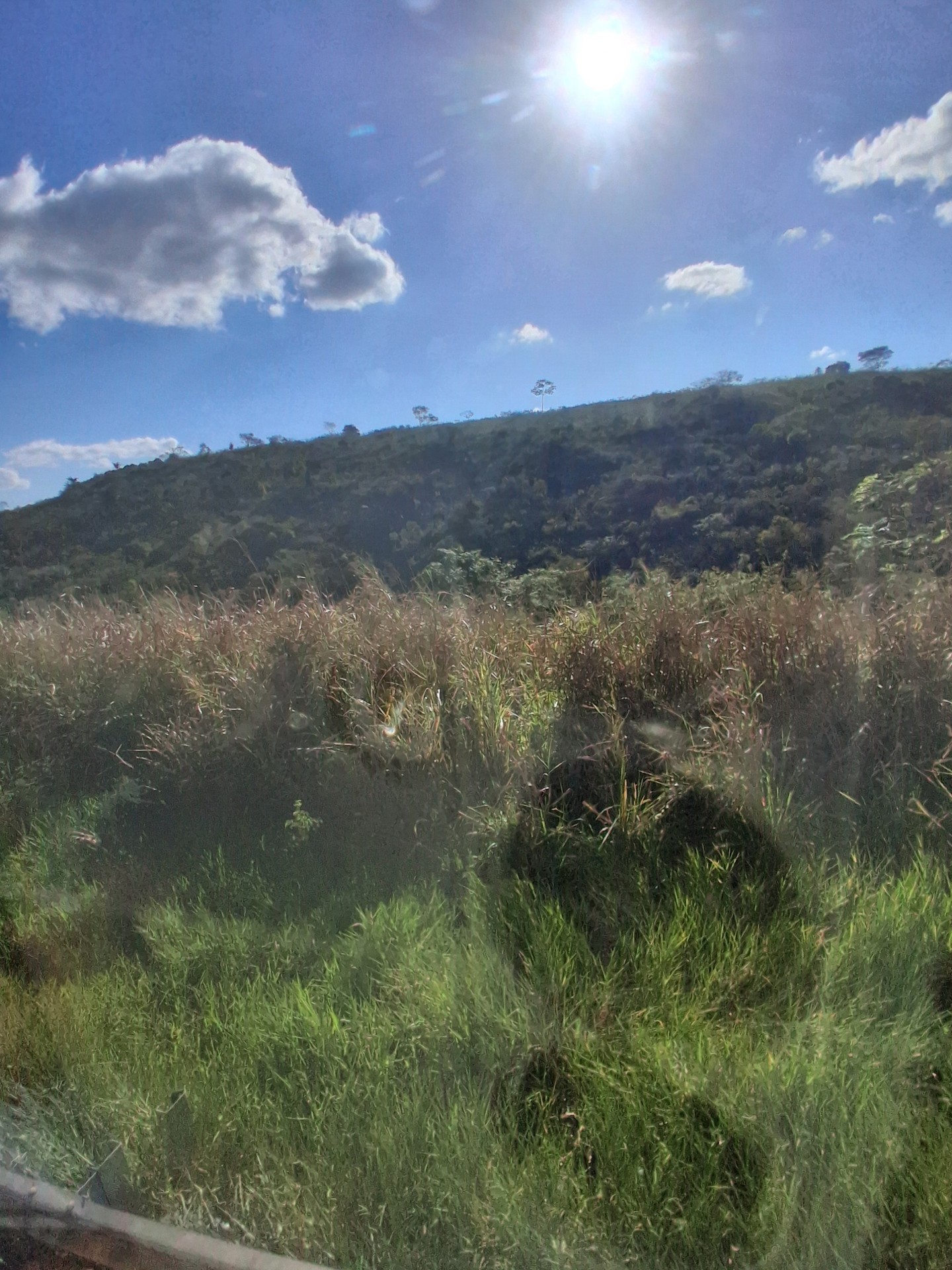 sfondi grassland, cloud