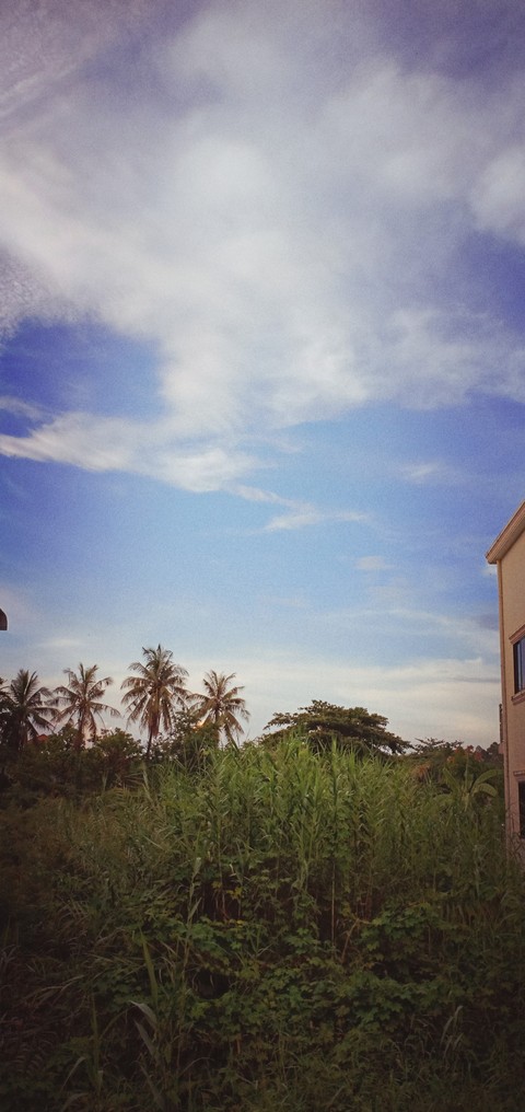 blue sky