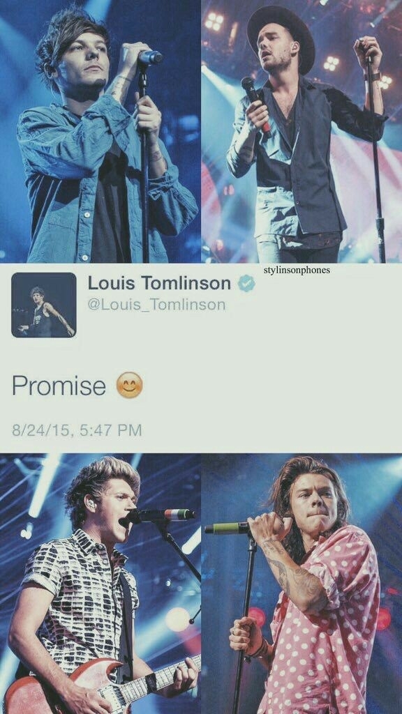 One Direction Promise