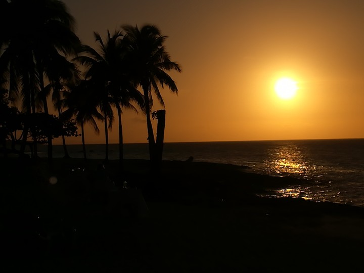 Sunset with palms