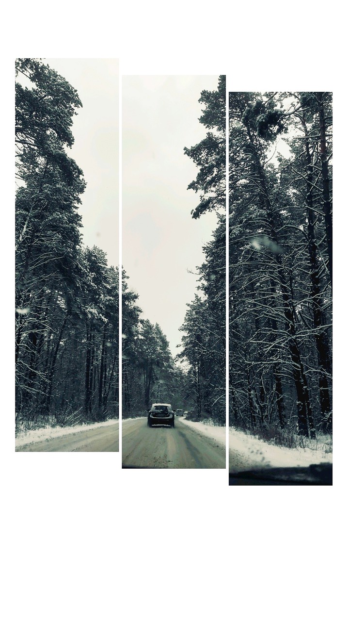 car in the winter forest