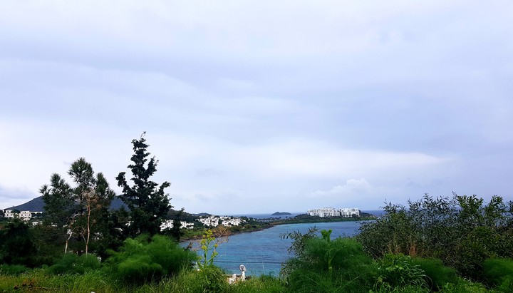 view