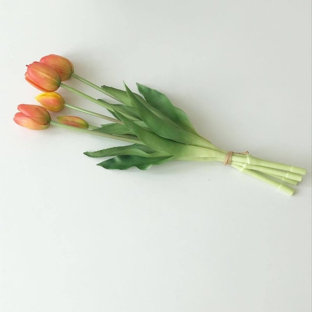 ⚘❤⚘