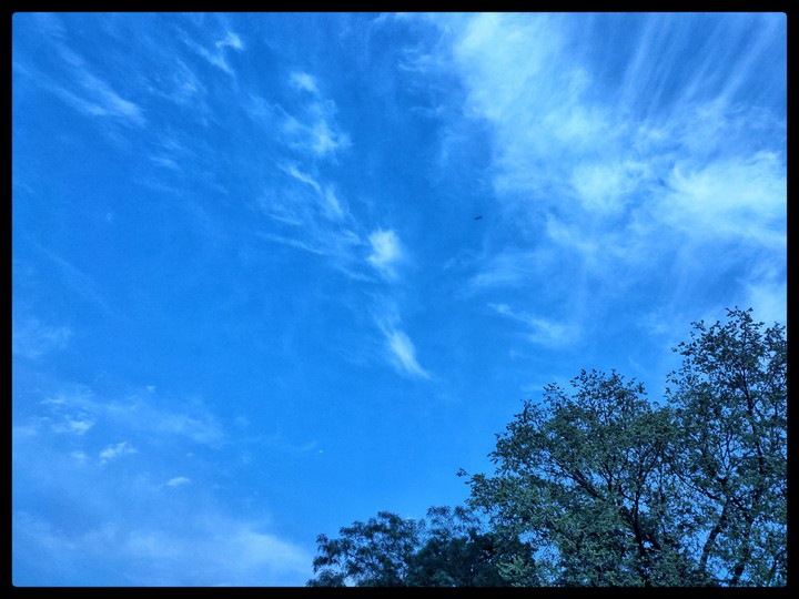 Weather