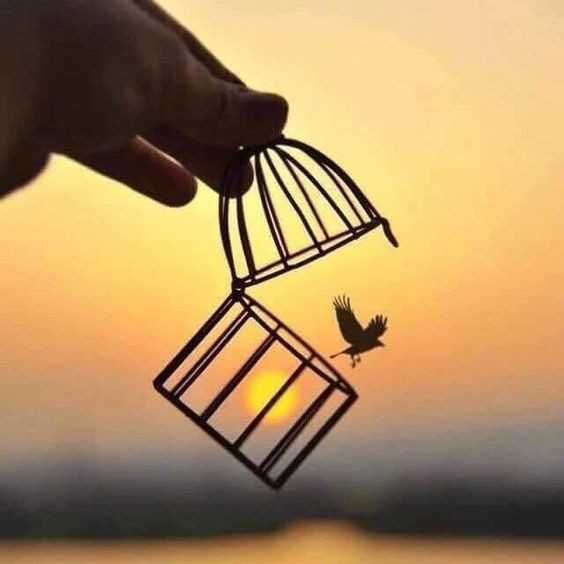 libre
