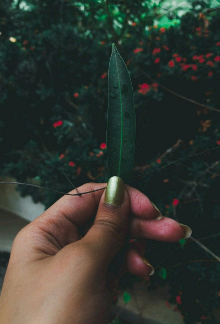 Greenery