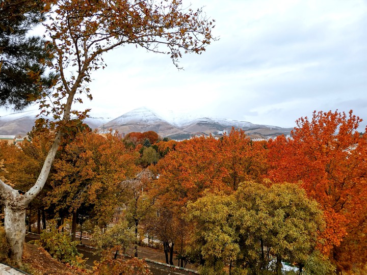 fall