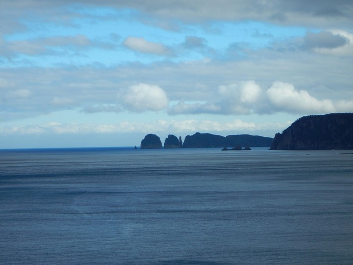 tasmania shoreline