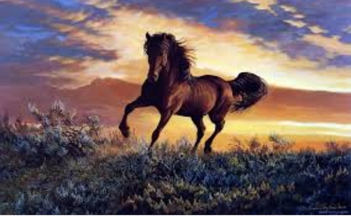 Hors