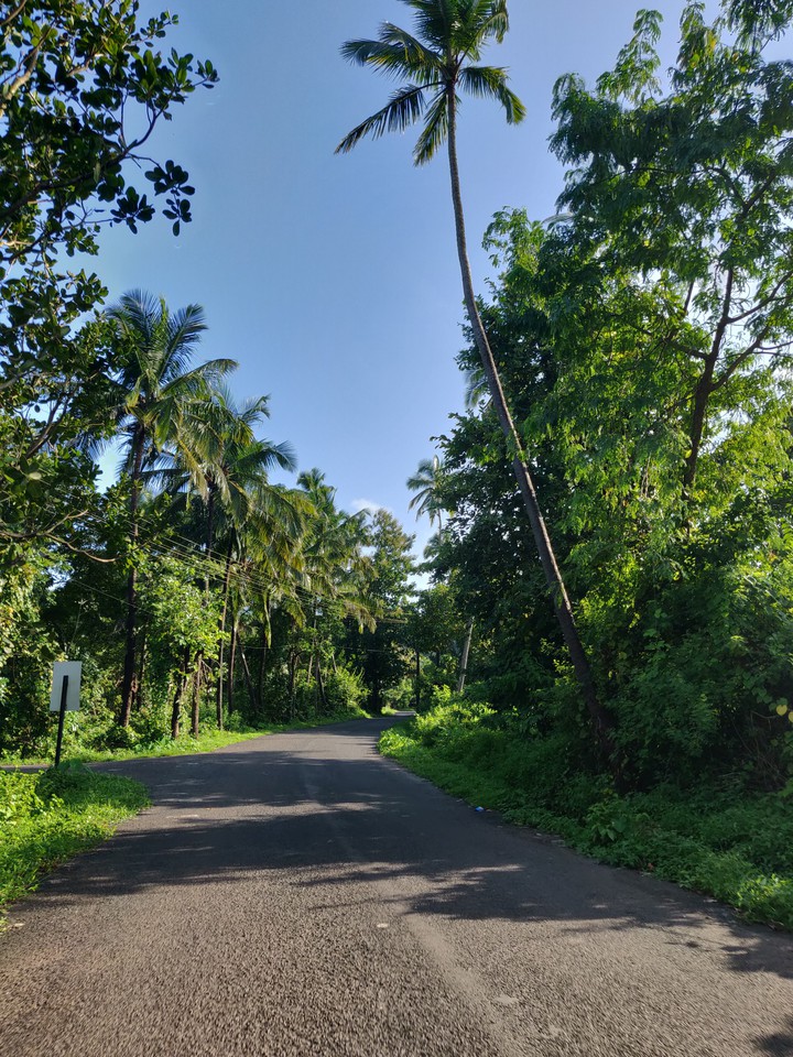Road
