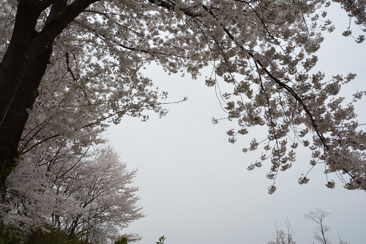 풍경이미지