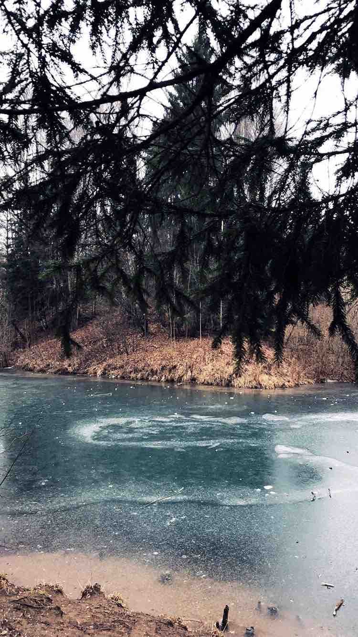 Winter lake in the park