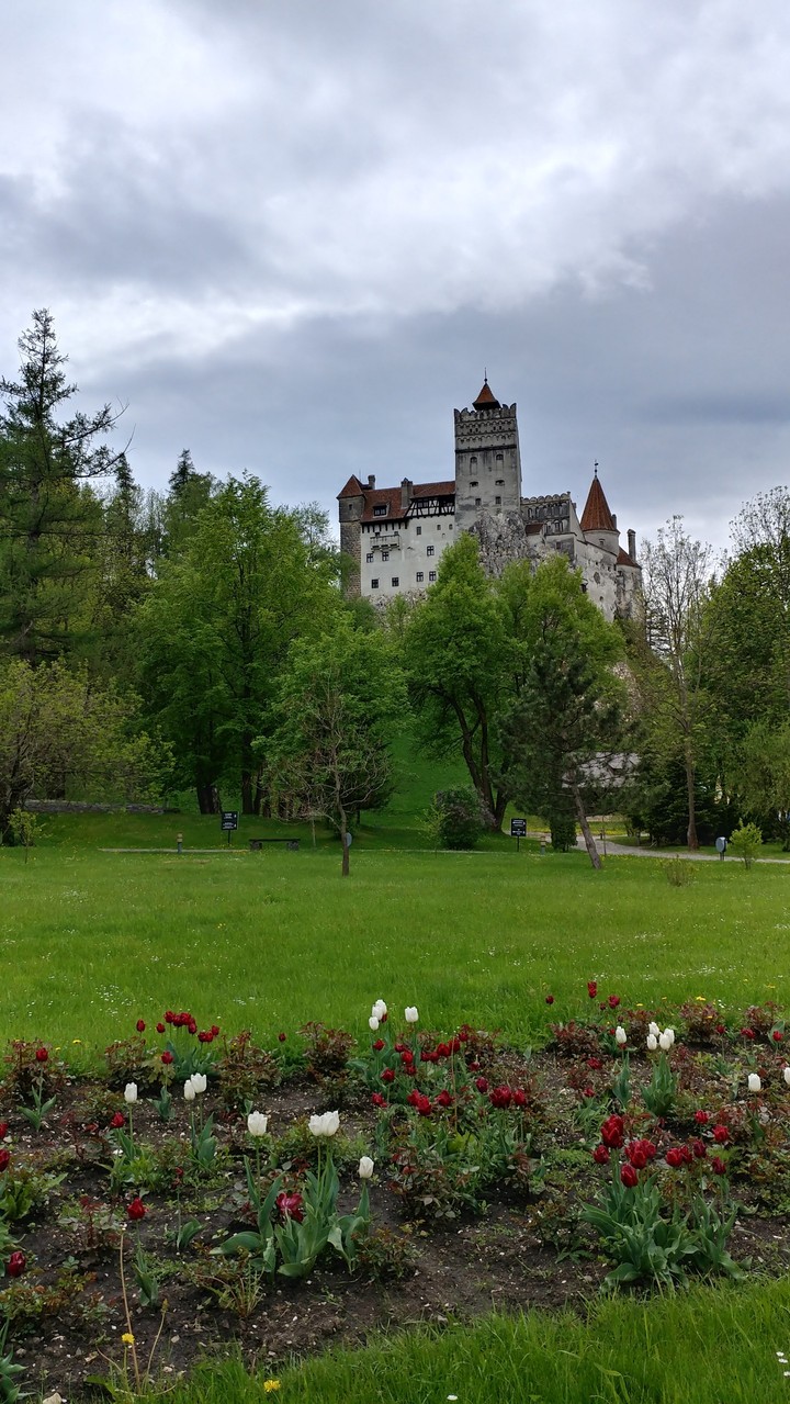 Dracula's castle