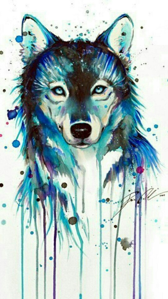 wolf mit farben