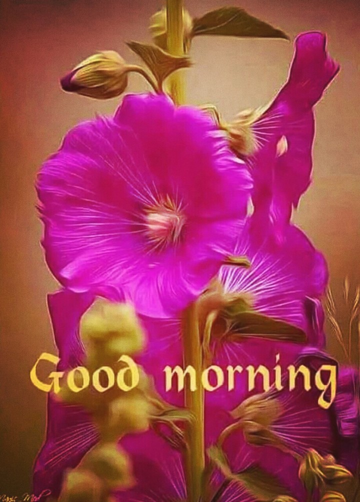 good morning