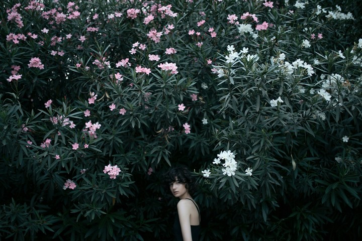 BEAUTY HIDDEN IN FLOWERS