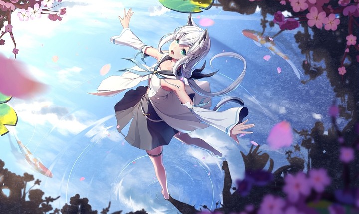 Anime ~