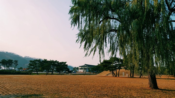 충주의 하늘