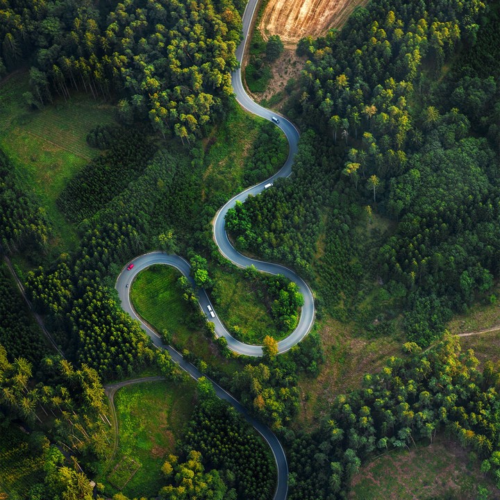 snake ways
