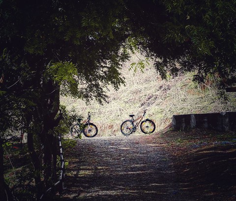 cycling