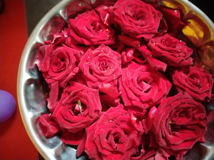 Rose