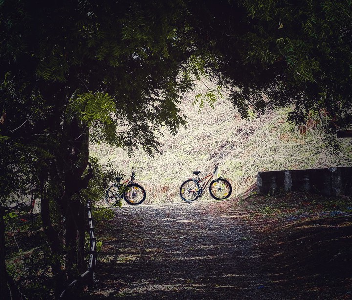 cycling