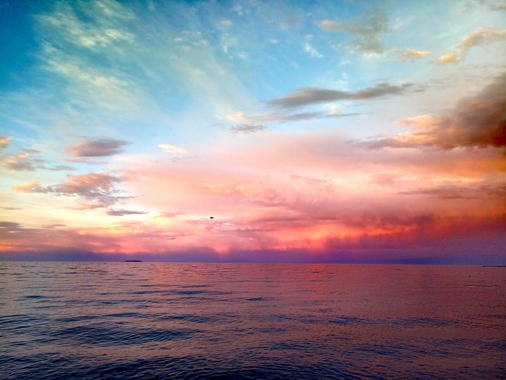 Colours