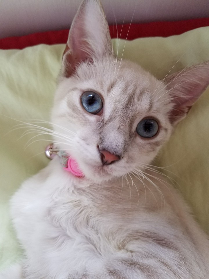 Nina