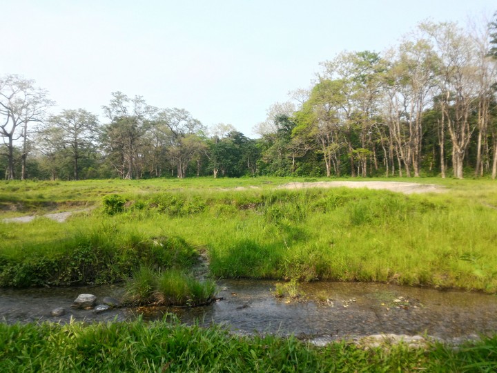 Jaldapara