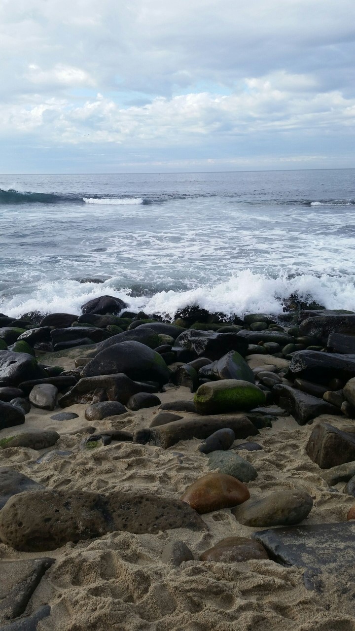 beacherino