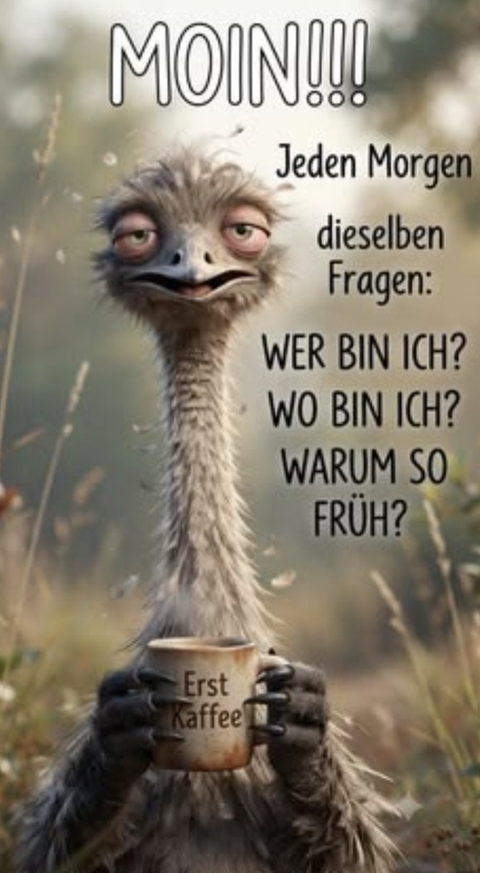 Ohne Titel