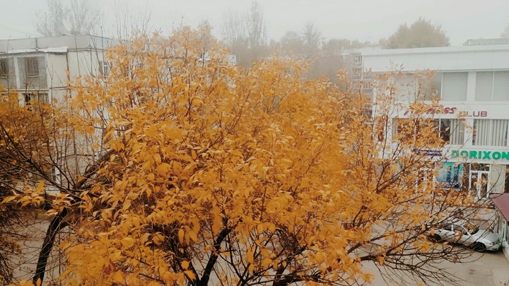 осень