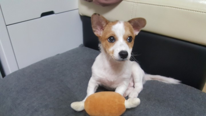 뭘봐