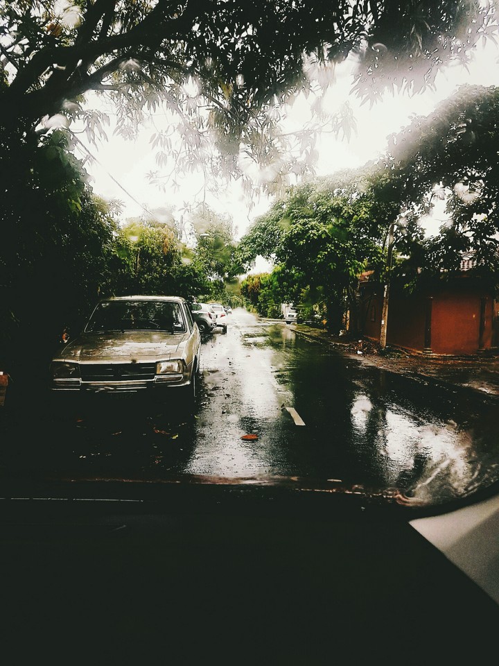 tears of rain