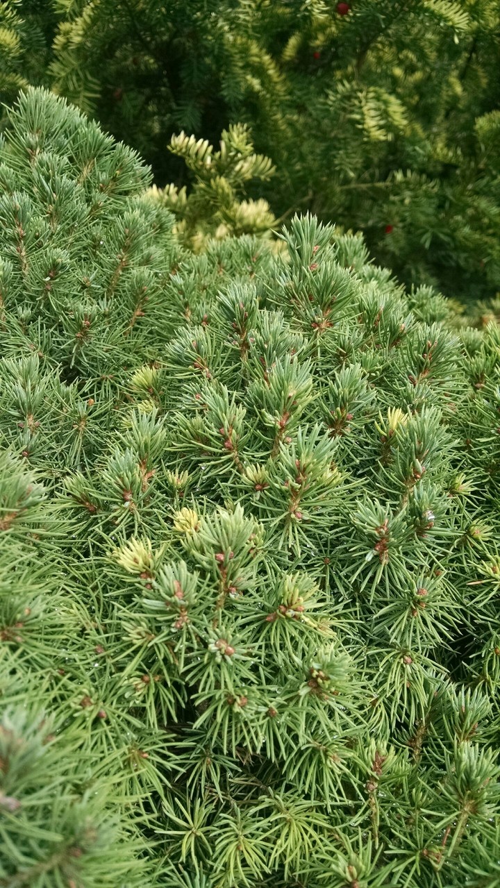 по