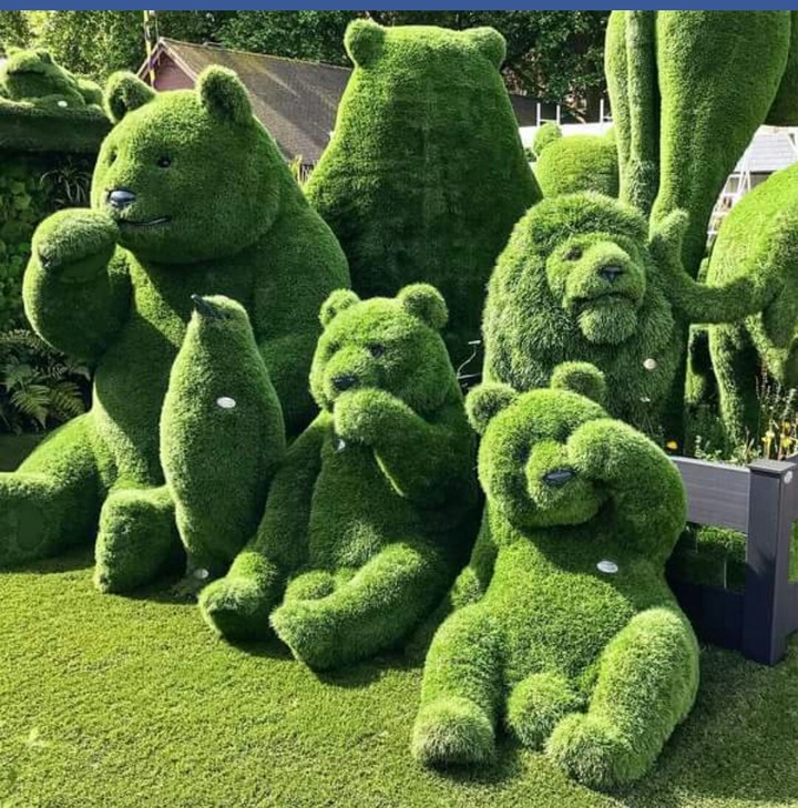 Beautiful Garden