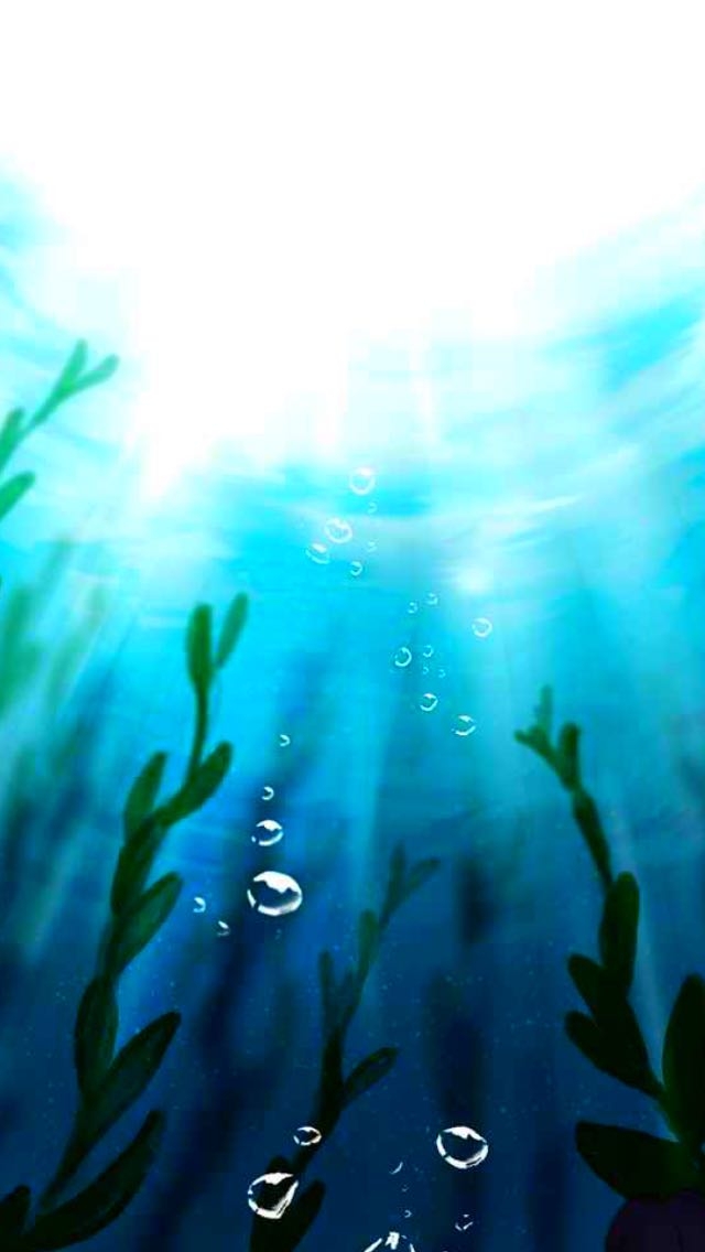Light of the Sea