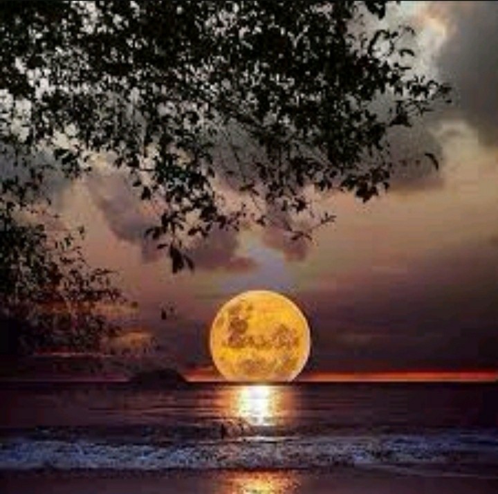 moon