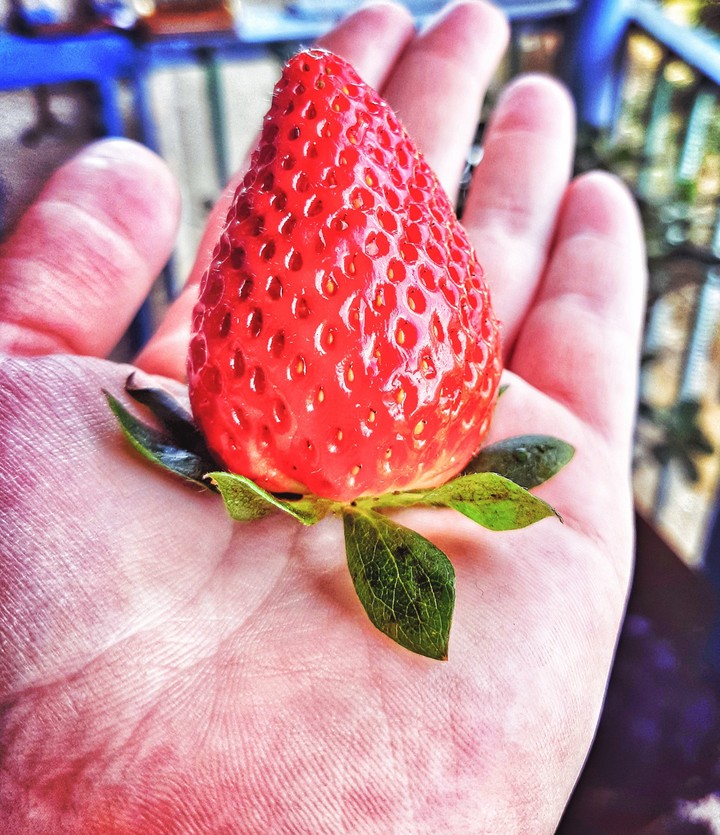 Strawberri