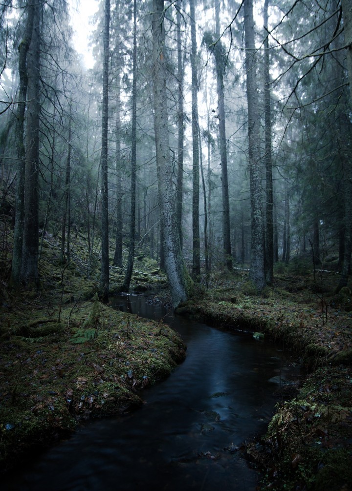 nature