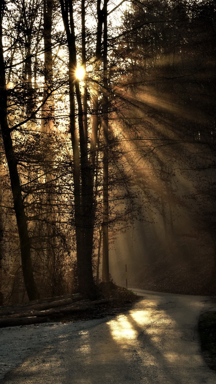 Autumn sunbeams ☀️