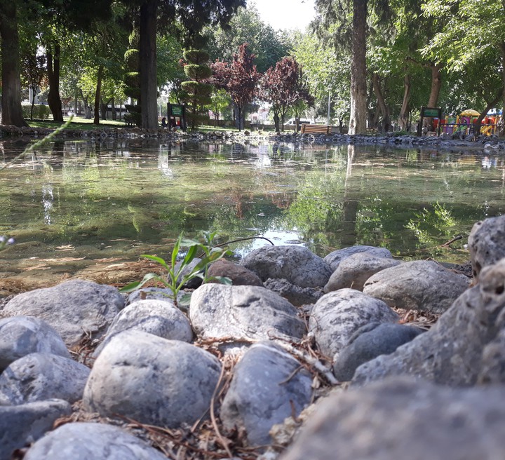 sun, water and rock